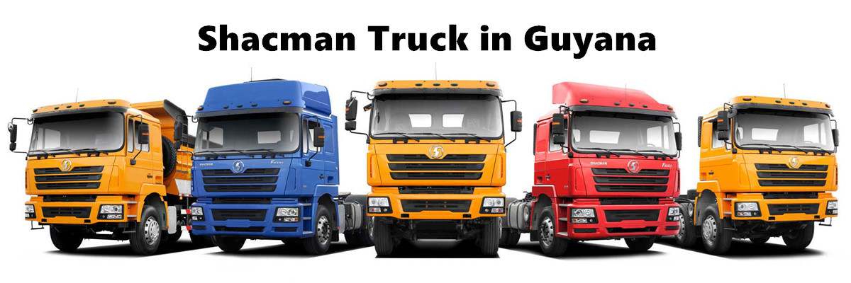 New Shacman Truck Price  Shacman Truck for Sale in Guyana